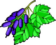 G0137179.wmf