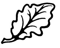 PLANTS94.PCX