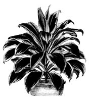 PLANTS28.PCX