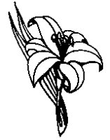 PLANTS23.PCX