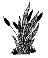PLANTS20.PCX