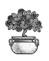PLANTS10.PCX