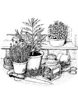 PLANTS09.PCX