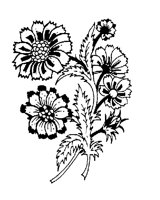 PLANTS01.PCX