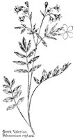 VALERIAN.PCX