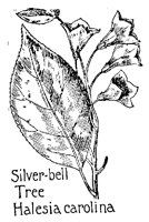 SVRBELL.PCX