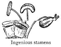 STAMENS.PCX