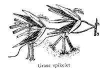 SPIKELET.PCX