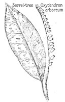 SORREL.PCX