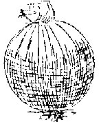 ONION.PCX