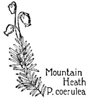 MTNHEATH.PCX