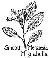 MENZIES2.PCX
