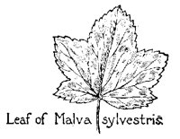 MALVA.PCX