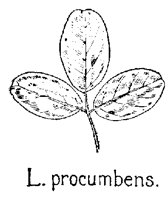 LPROCUM.PCX