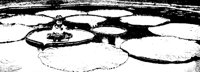 LILYPADS.PCX