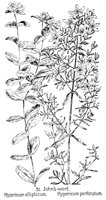 JOHNWORT.PCX