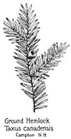 HEMLOCK.PCX