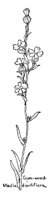 GUMWEED.PCX