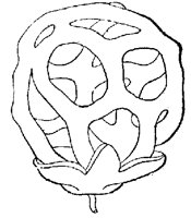 FUNGI3.PCX