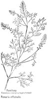 FUMITORY.PCX