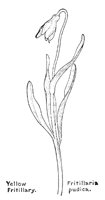FRITILRY.PCX