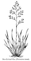 FLAX2.PCX