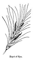 ERGOTRYE.PCX