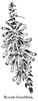 EPACRIS.PCX