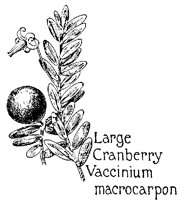 CRANBRY.PCX
