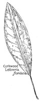 CORKWOOD.PCX