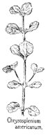 CHRYSOS.PCX