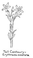 CENTAURY.PCX