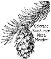 BLUSPRCE.PCX
