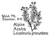 AZALEA.PCX