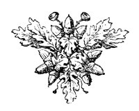 ACORNS.PCX