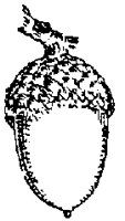 ACORN.PCX