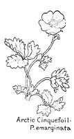 ACINQUEF.PCX