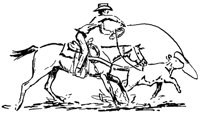 MISC2_41.PCX