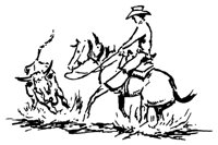 MISC2_40.PCX