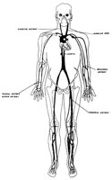 MISC1_10.PCX