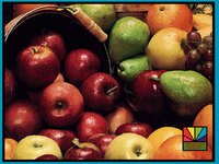 APPLES1.GIF