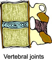 G0703418.wmf