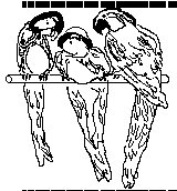 PARROTS.PCX