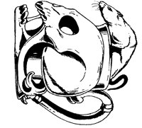 SKULL.PCX
