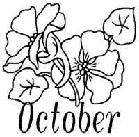 OCT.PCX