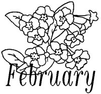 FEB.PCX