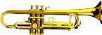 G0165196.wmf