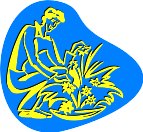 G0169262.wmf