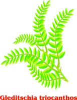 G0103687.wmf