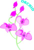 G0107407.wmf